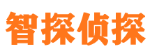 彭山外遇调查取证